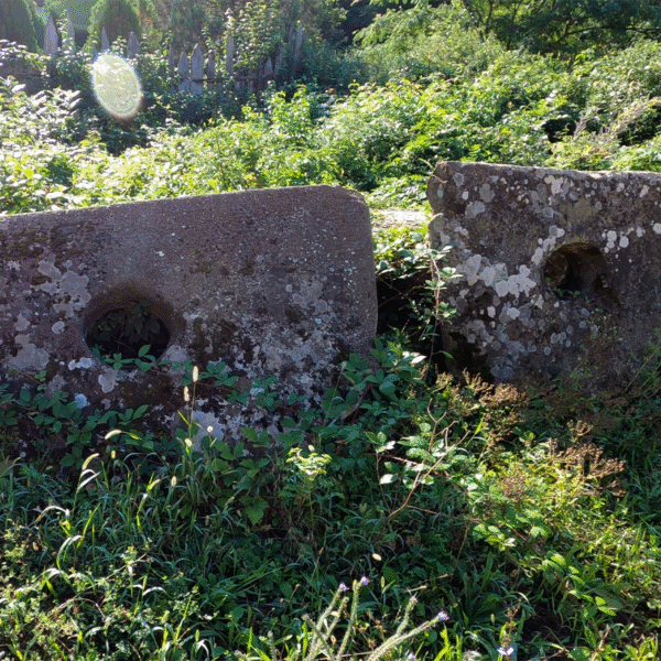 Фрагменты древнего дольмена на Кавказе среди растительности