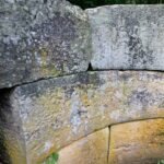 Dolmen Hidden Abilities with forest in the background