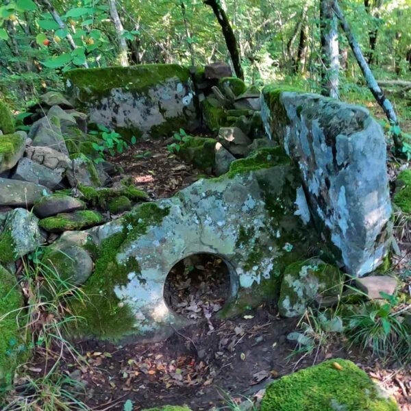 дольмен-капустино-лес-краснодарский-край