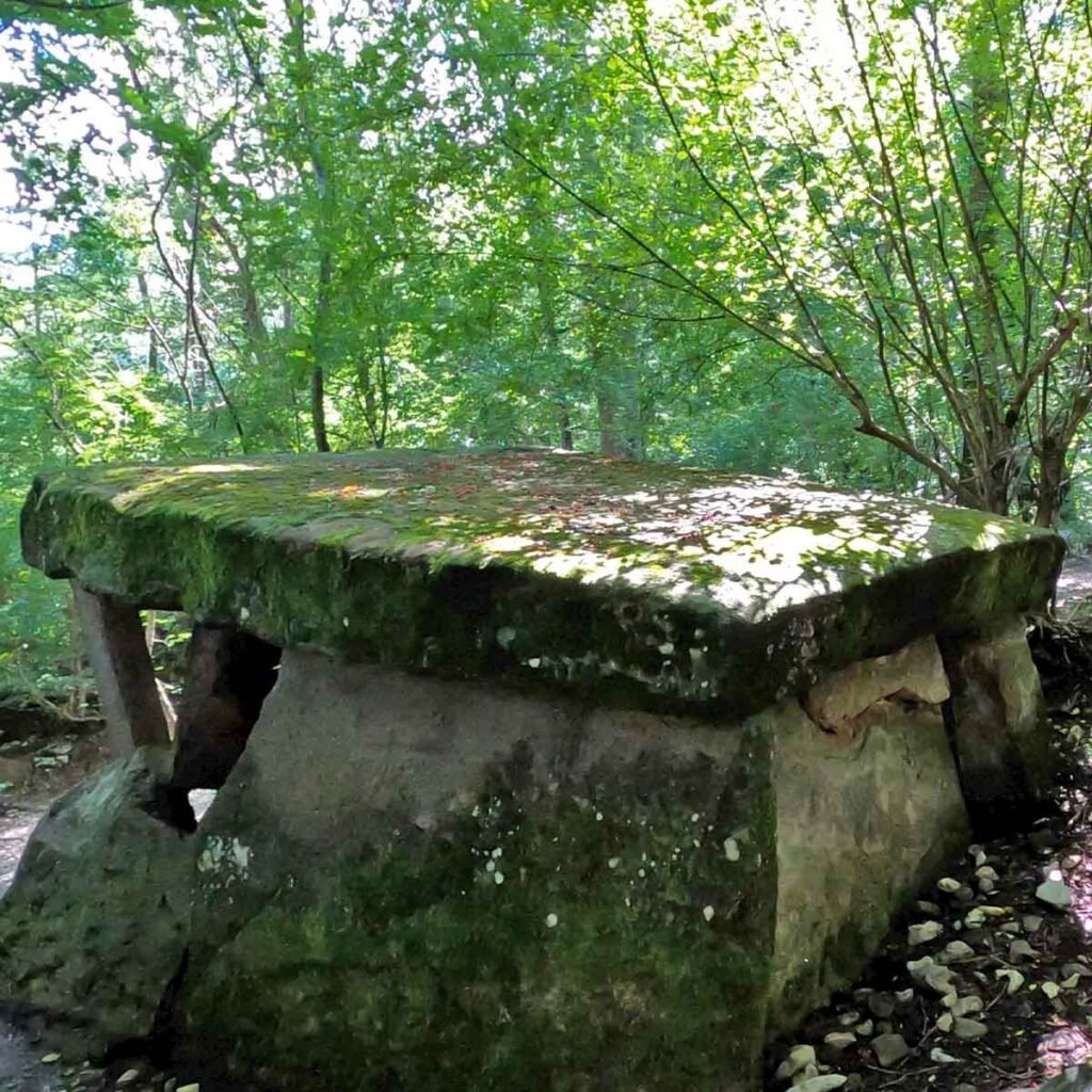 Вид сверху на дольмен Хан в лесном окружении