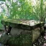 Вид сверху на дольмен Хан в лесном окружении