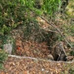 Дольмены в Ливадии (Ялта) — изображение 13