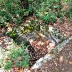 Дольмены в Ливадии (Ялта) — изображение 10