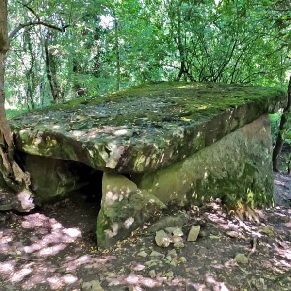 Вид сверху на дольмен Майа среди деревьев