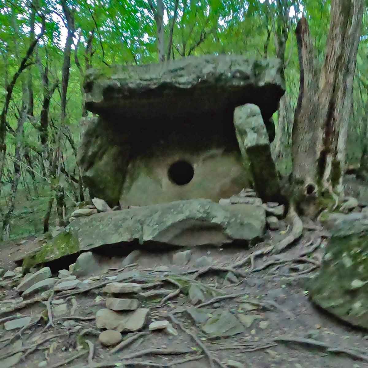 Дольмен Патриарх боковой вид в лесу