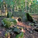 Collapsed stones near dolmen in Pshada side view