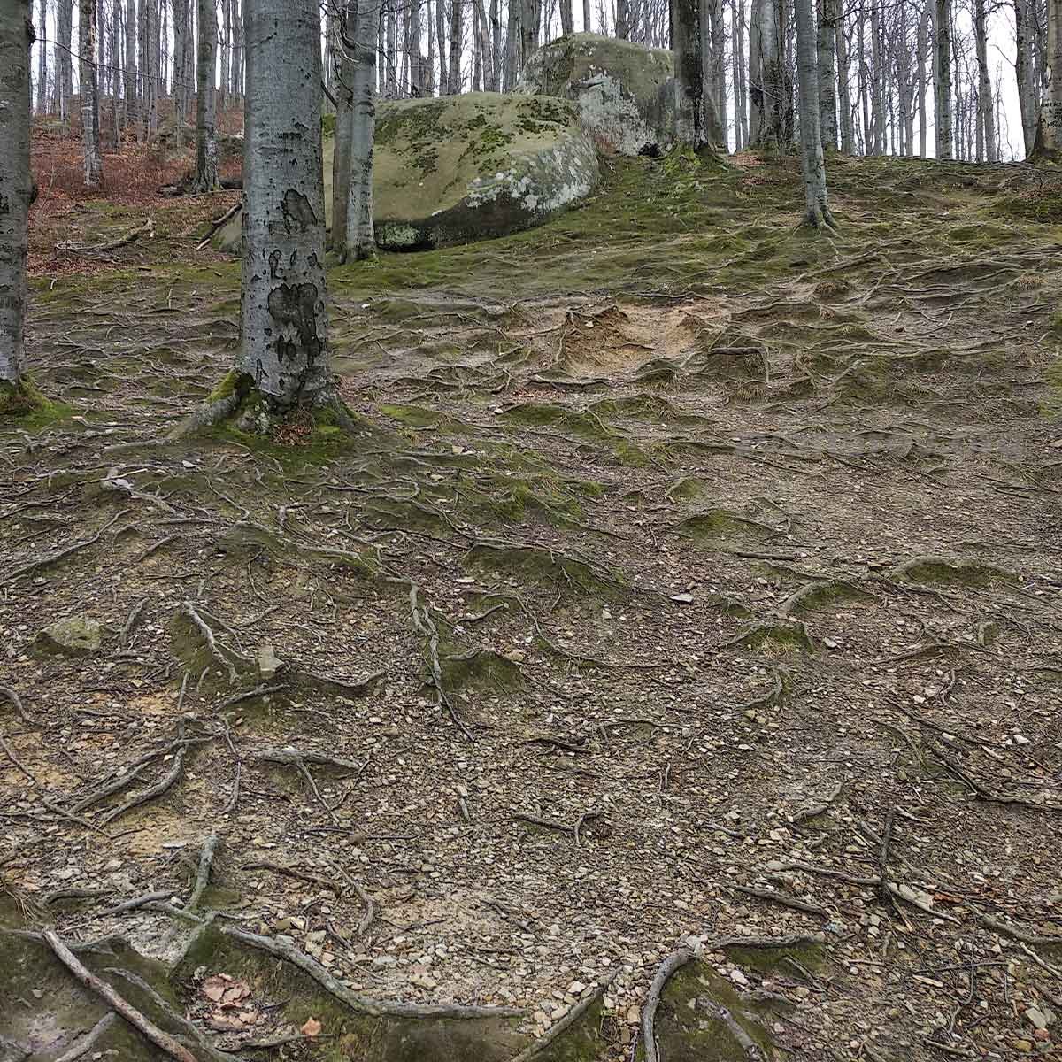 Тропа в Карпатах возле мегалитов Украины