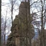 Каменный утёс с мхом Карпаты