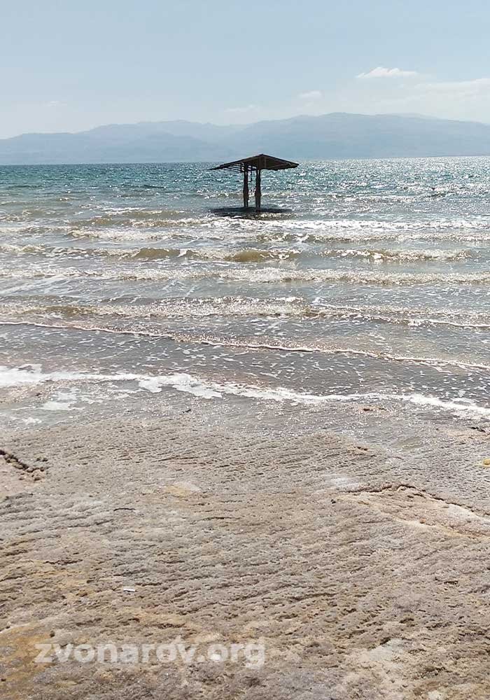 Мужчина плавает в солёных водах Мёртвого моря